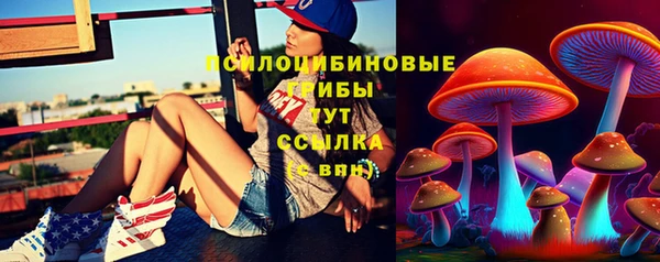 дживик Баксан