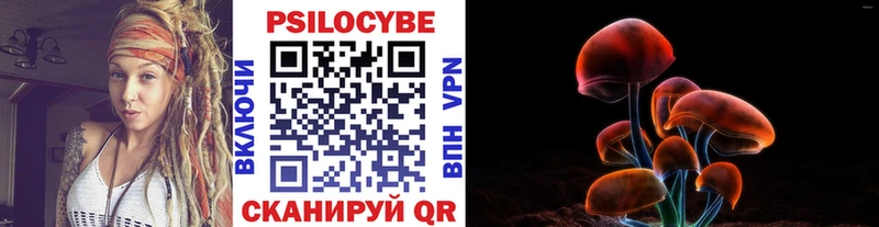Псилоцибиновые грибы прущие грибы  Шлиссельбург 